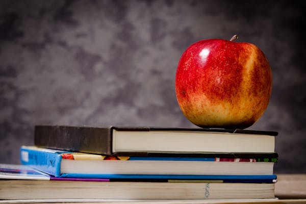 Cursos e Aulas